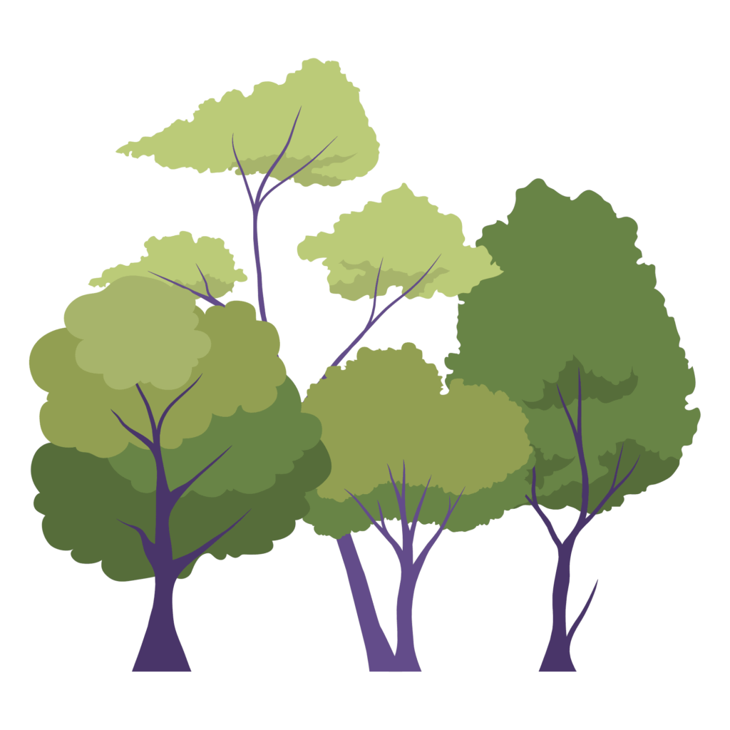 lateral image with illustrated trees